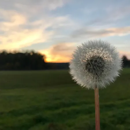 Otel Gaestehaus Roessle