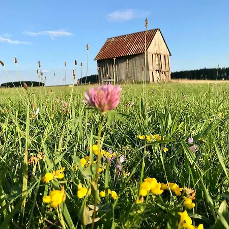 Otel Gaestehaus Roessle Rötenbach