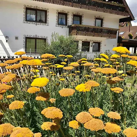 Gaestehaus Roessle Grosszuegiges Wohnen Bis Zu 90 M2 3* Rötenbach
