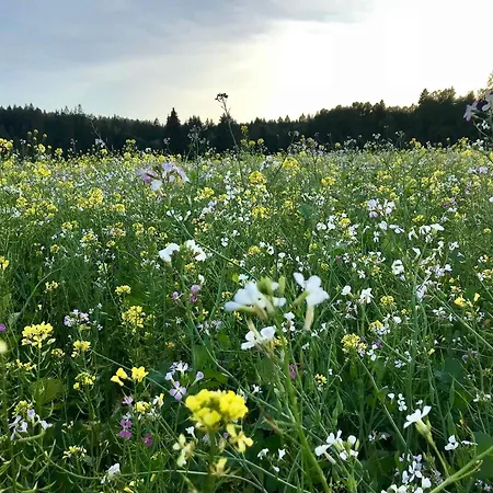 Otel Gaestehaus Roessle