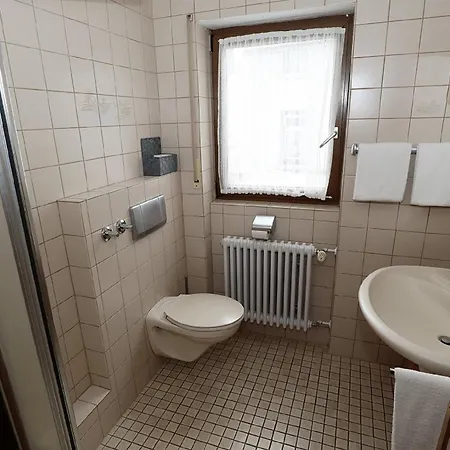 Gaestehaus Roessle 3* Roetenbach (Friedenweiler)