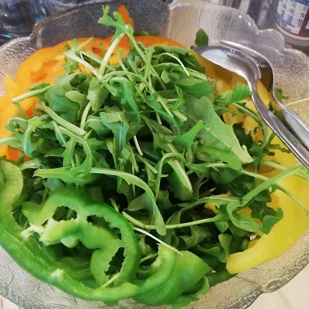 Otel Gaestehaus Roessle