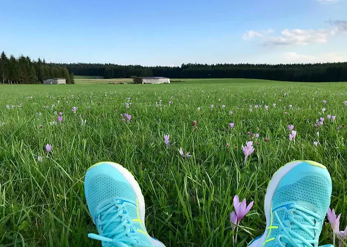 Gaestehaus Roessle Hotel Rötenbach